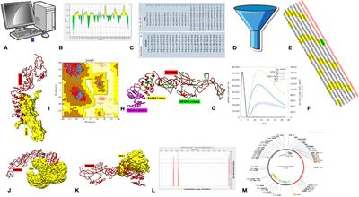 Construction of an aerolysin-based multi-epitope vaccine against Aeromonas hydrophila: an in silico machine learning and artificial intelligence-supported approach